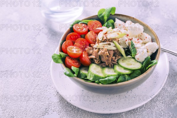 Vegetarian buddha bowl. Raw vegetables and tuna in a one bowl. Vegetarian, healthy, detox food