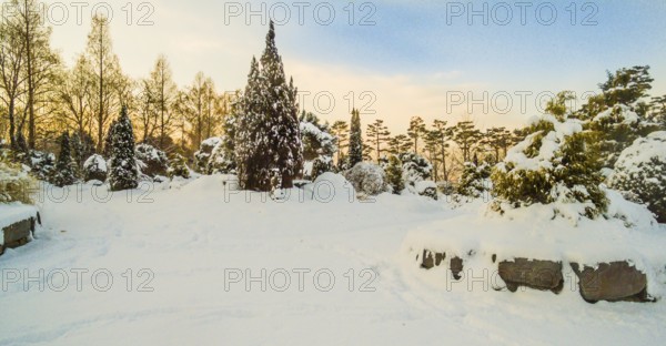 Wintry landscape of trees and boulders covered with powdery white snow in a public park in