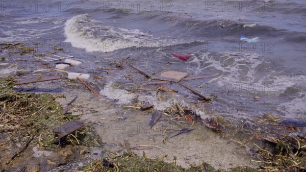 Close-up of floating debris has reached Black Sea beaches in Odessa, Ukraine. Environmental