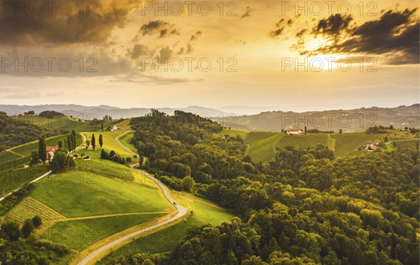 South styria vineyards aerial landscape, near Gamlitz, Austria, Eckberg, Europe. Grape hills view