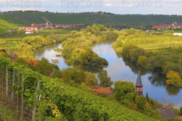 Bavaria, Franconia, Franconian country, Escherndorf Altmain, vineyards near Escherndorf
