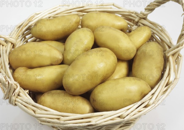 Potato, Potatoes (solanum tuberosum), Solanaceae, Charlotte Potato, Vegetable against white