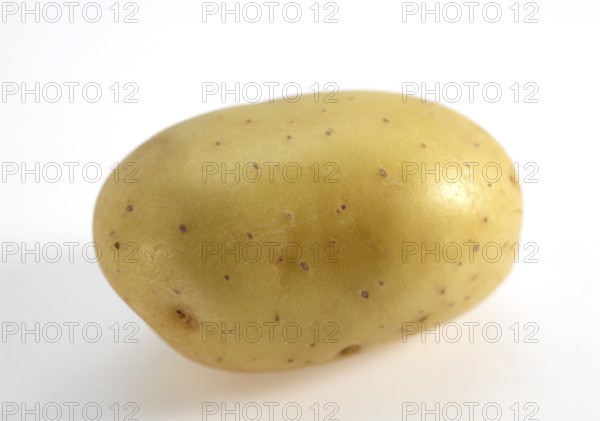 Mona Lisa Potato (Solanum tuberosum), Vegetable against White Background