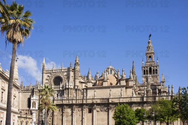 Sevilla Cathedral (Spanish: Catedral de Santa Maria de la Sede), Gothic style architecture in