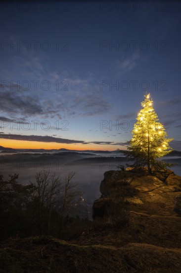 Exhilarating sunrise at the Wachtfelsen. Magical morning mist, clouds and a Christmas tree in the