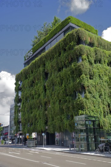 Facade greening, thermal insulation, greening, modern architecture, metropolis, urban,