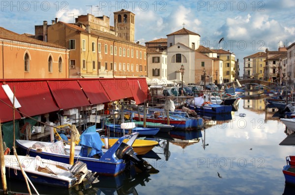 Fishing Boats outside the fish market on the Riva Vena canal, Chioggia, Veneto Region, Italy,