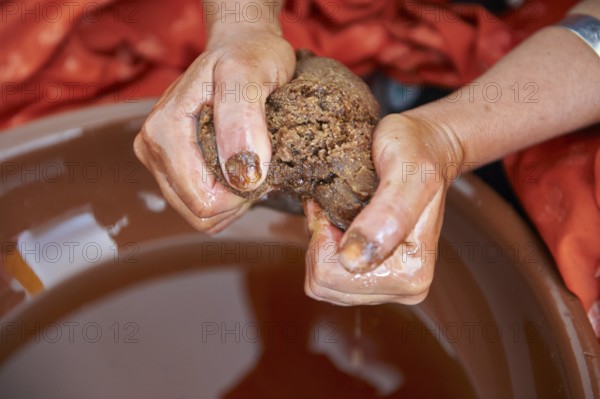 Argan oil being squeezed out of the Argon paste. Cooperative Marjana, Ounara, Essouira, Morocco,