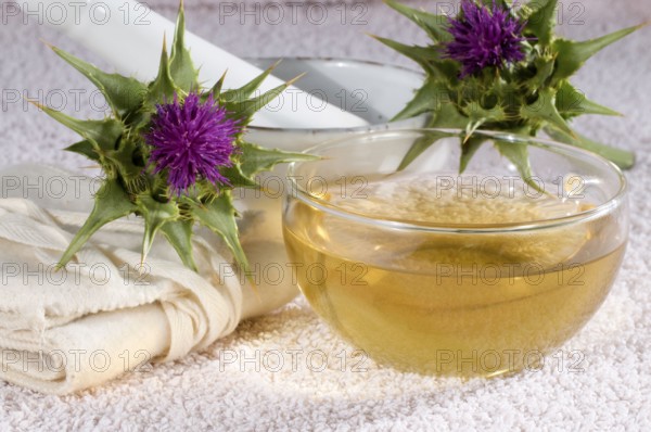 Cup of milk thistle tea (Silybum marianum) (Carduus marianus), milk thistle