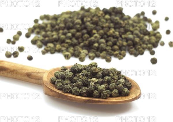 Real pepper, Black pepper, Pepper bush, Pepper family, Green Peppercorn, piper nignum, Green