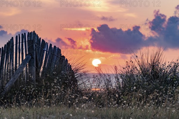 Beach, sea, dune landscape on the English Channel with the regionally typical wooden picket fence