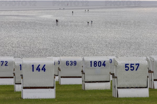 White beach chairs on the dyke and sand walkers, people walk on sand at low tide in front of Büsum,