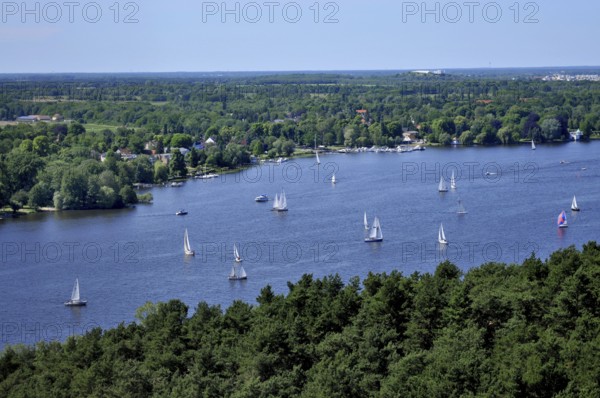 Sailing boats, Havel, Wannsee, Berlin-Gatow, Berlin, Germany, Europe