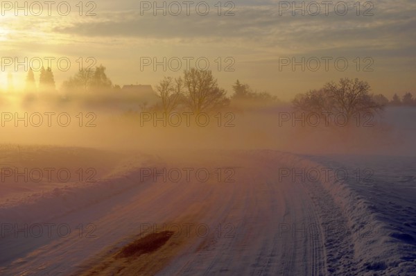 Sunrise with snow at Maulbronn, morning mood, fog with snow, dirt road with snow, sun with rays,