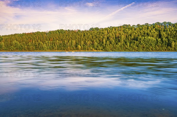 View of the coniferous forest at the Zeulenroda Sea at sunset, Zeulenroda-Triebes, Thuringia,