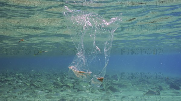 Plastic bag floating underwater. Transparent plastic bag drifts under surface of water, tropical