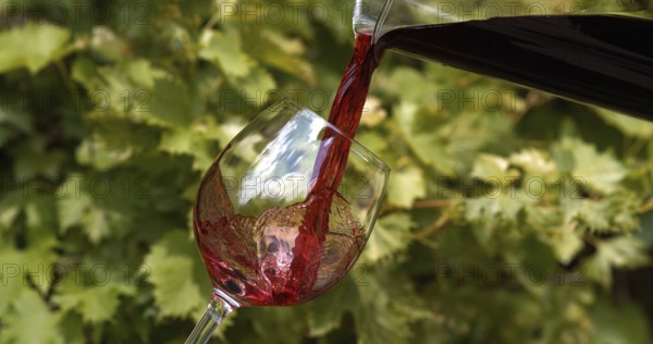 Red Wine being poured into Glass