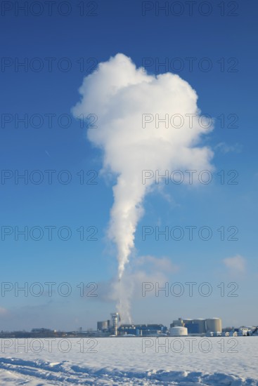 Smoke column or water vapour from the Südzucker factory, production of sugar from sugar beet (Beta