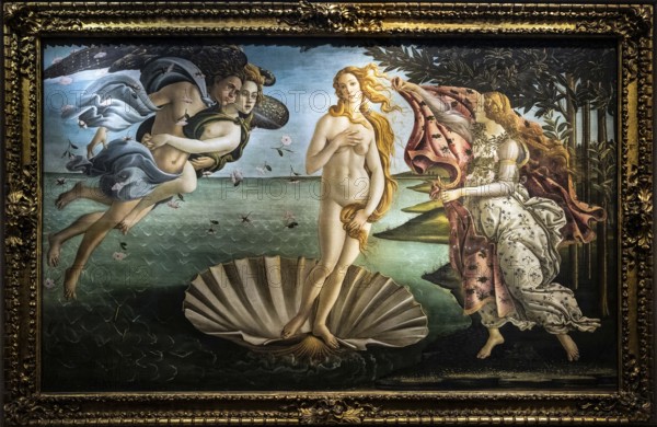FLORENCE, TUSCANY/ITALY - OCTOBER 19 : The birth of Venus painting in the Uffizi gallery in