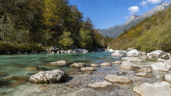 A beautiful autumn color landscape in the Julian Alps of Slovenia with the clear turquoise Soca