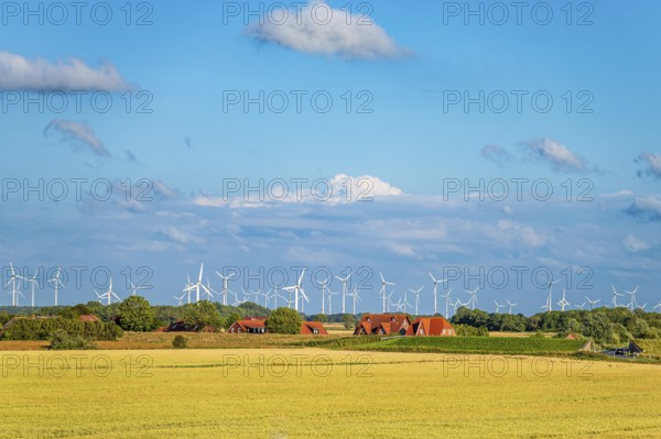 Rural scene with wind turbines behind a golden yellow field and farmhouses under a cloudy blue sky,