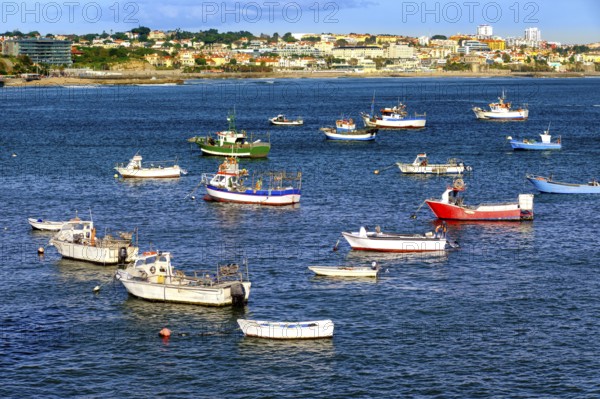 Colorful view of small fishing boats on sunny day in bay of Cascais, Portugal, quiet and luxurious