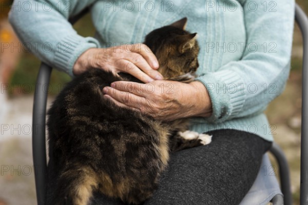 Senior woman nursing home holding cat