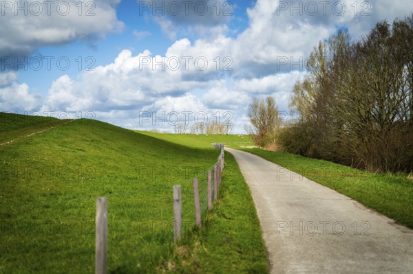 A path leads through a spring-like landscape with green meadows and a clear sky, Leer, East Frisia,