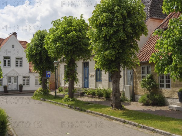 Green trees and charming houses line a quiet, sunny street with well-tended front gardens, arnis,
