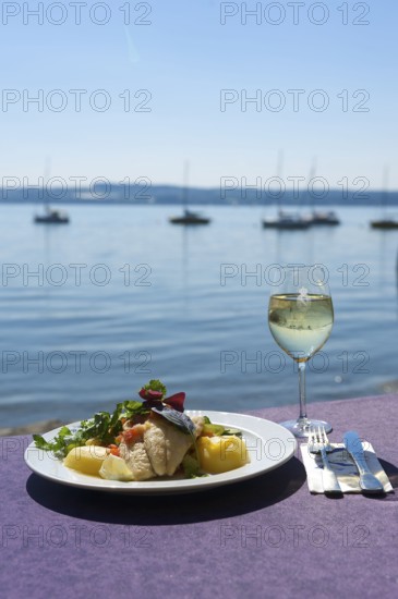 Fish dish Bodenseefelchen at the Rebmannshof restaurant in Maurach on Lake Constance,