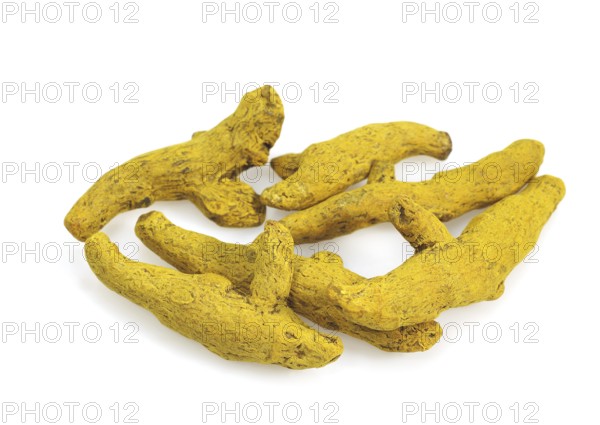 Turmeric, curcume, yellow ginger, saffron root, turmeric, ginger family, ROOT OF TURMERIC, AN
