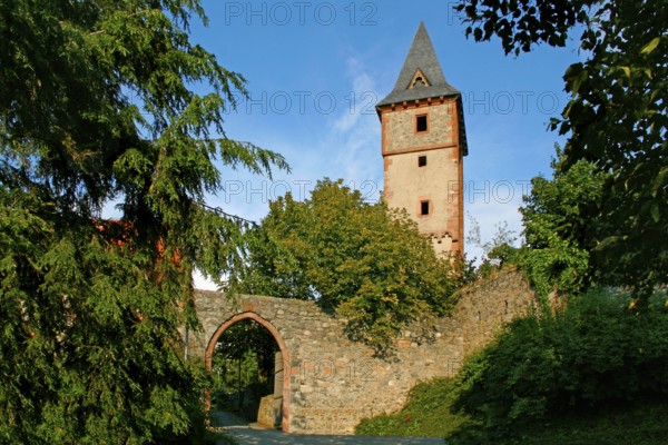 Frankenstein Castle, built in front of 1250, Odenwald, Bergstrasse, near Darmstadt, Hesse, Germany,