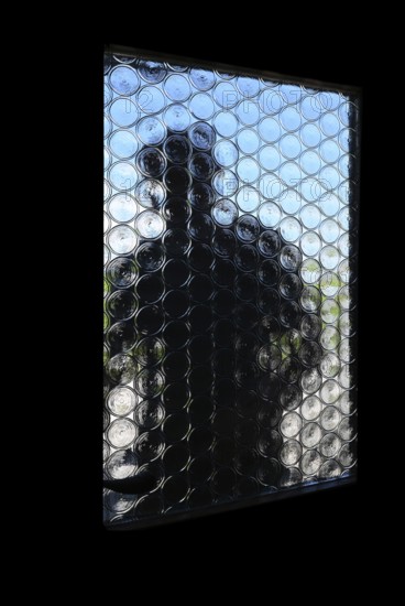A stranger opens the front door, A dark figure tries to look through the opaque glass pane of a