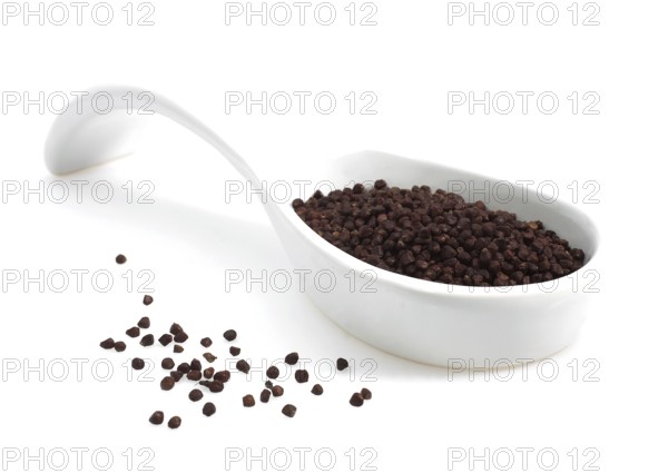 Grains of paradise, melegueta pepper, guinea pepper, ginger family, Grains of Paradise, aframomum