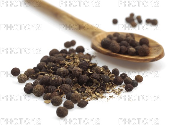 Allspice, clove pepper, Jamaica pepper (Pimenta officinalis), myrtle family, JAMAICA PEPPER against