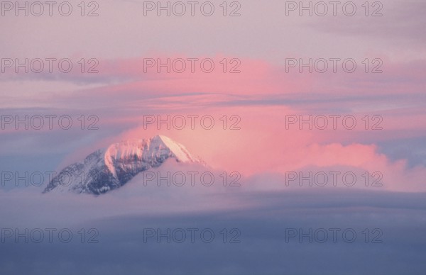 Alpine peaks and clouds in the evening light (Eiger Mönch), Bernese Oberland (dusk) (twilight)