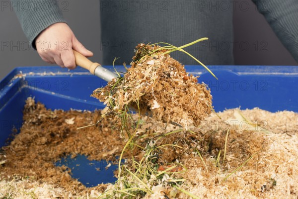 Cleaning the rabbit cage, scatter and straw with rabbit shit and leftover vegetables, taking care