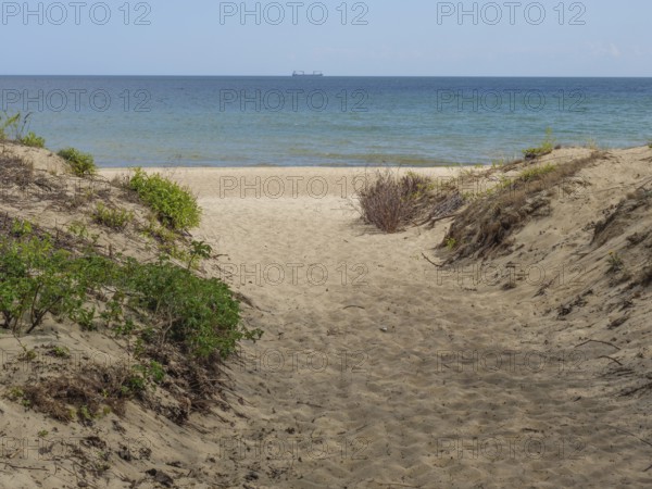 Path through the dunes to the sea, plants on the sides, calm water in the background, sopot, baltic