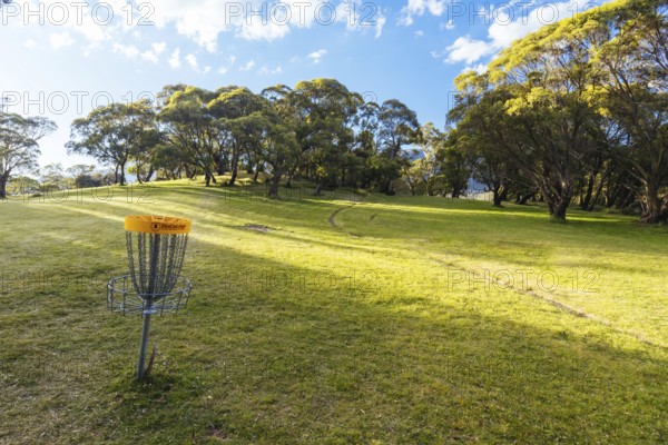 Lake Crackenback disc golf course in late afternoon light in Kosciuszko National Park in New South