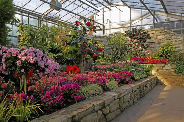 Blütenhaus, Palmengarten, Frankfurt am Main, Hesse, Germany, Europe