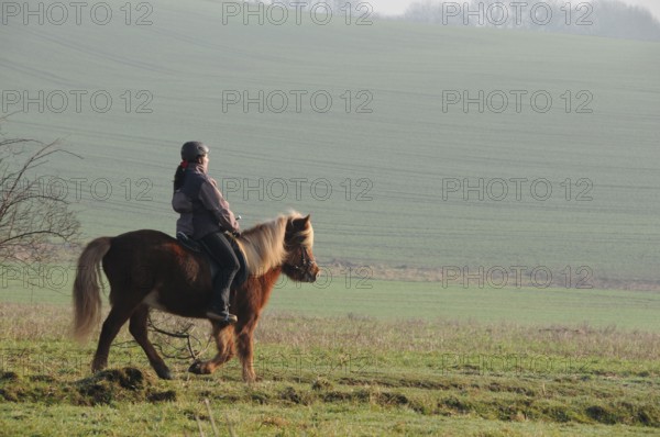 Cross country, woman on icelandic pony, icelandic horse, icelandic riding, ride out, step