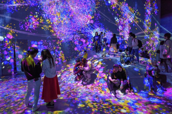 Digital Art Museum, Epson Team Lab Borderless, Odaiba Island, Tokyo, Japan, Asia