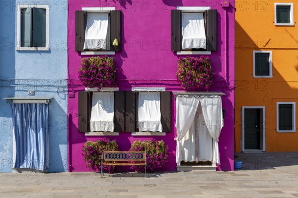 Blue, pink and yellow house facade with flowers, colourful houses, alleys on the island of Burano,