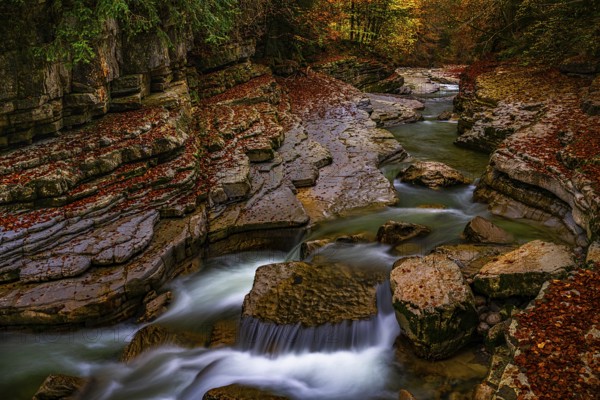 Autumn atmosphere on the course of the Taugl or Tauglbach stream, Tauglgries nature reserve,