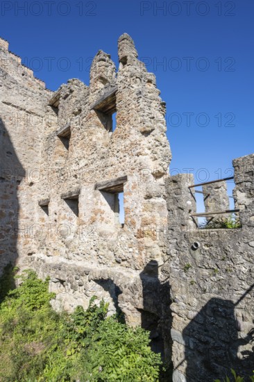 The Altbodman castle ruins on the Bodanrück, Bodman-Ludwigshafen, Constance district,