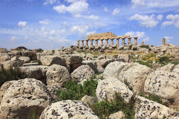 Selinunte, remains of the temples of the acropolis in the archaeological site of Selinunte, Trapani