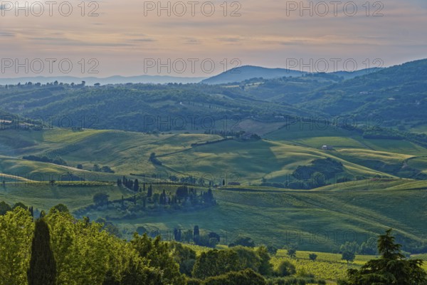 Landscape in the rays of the evening sun near Montepulciano in Tuscany: Montepulciano, Tuscany,