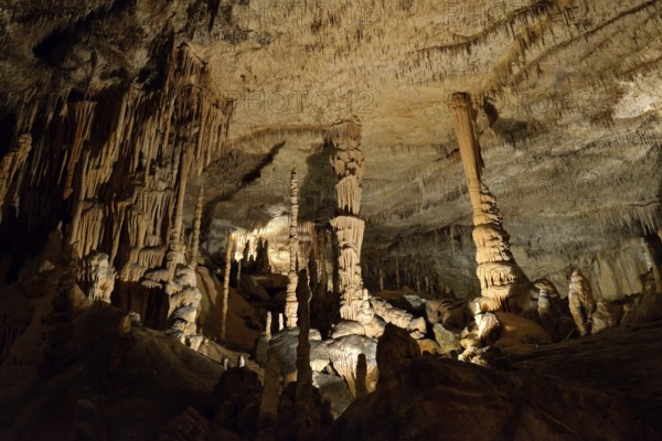 Coves del Drach, Cuevas del Drach, Dragon's Cave, Porto Cristo, Majorca, Balearic Islands, Spain,