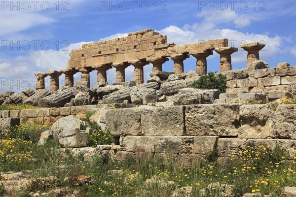 Selinunte, remains of the temples of the acropolis in the archaeological site of Selinunte, Trapani