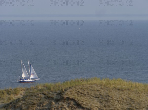 Sailboat in the Curonian Lagoon in front of the Parnidis Dune on the coast of the Curonian Spit,
